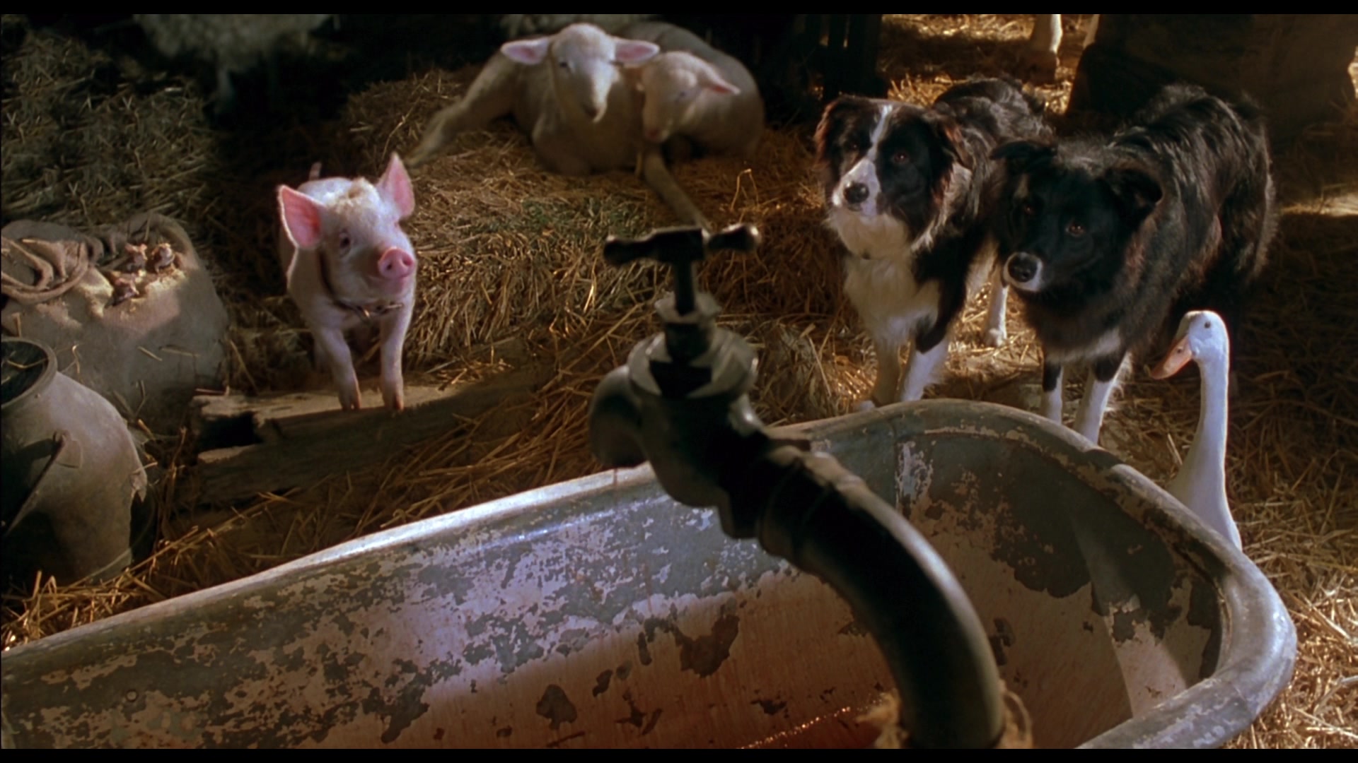 Babe Pig In The City 1998 Screencap Fancaps