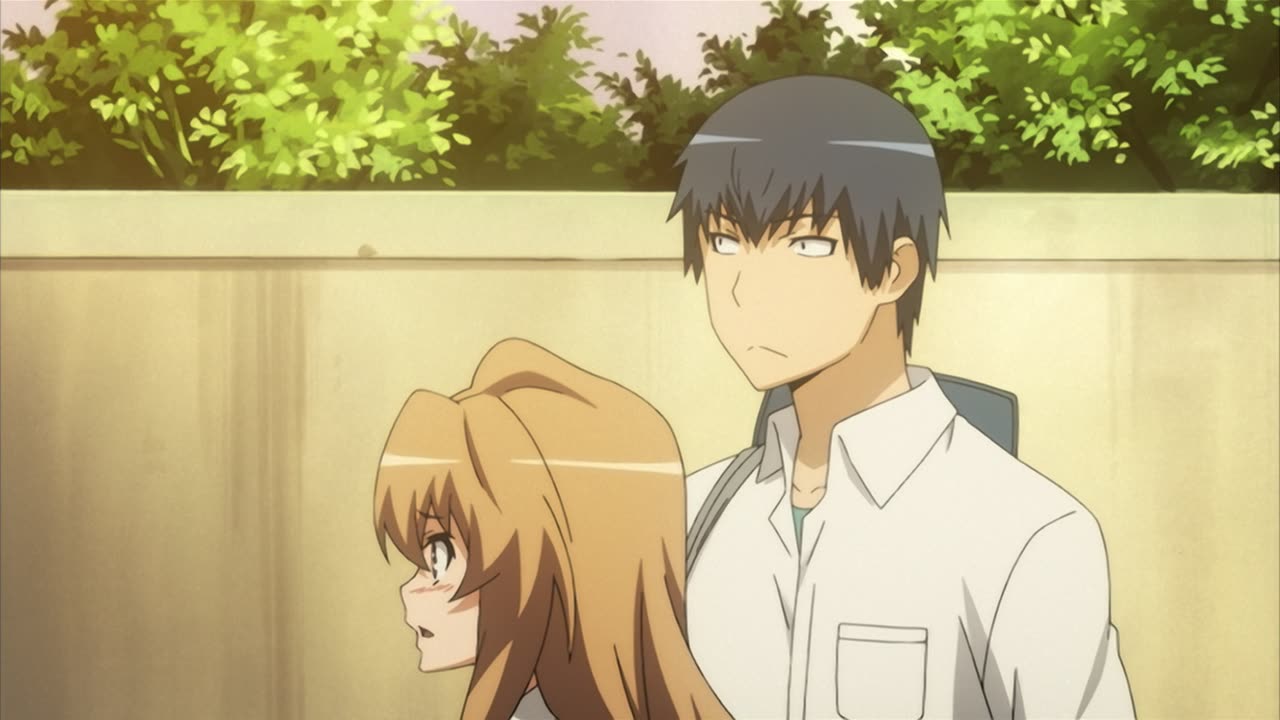 Toradora! Image | Fancaps