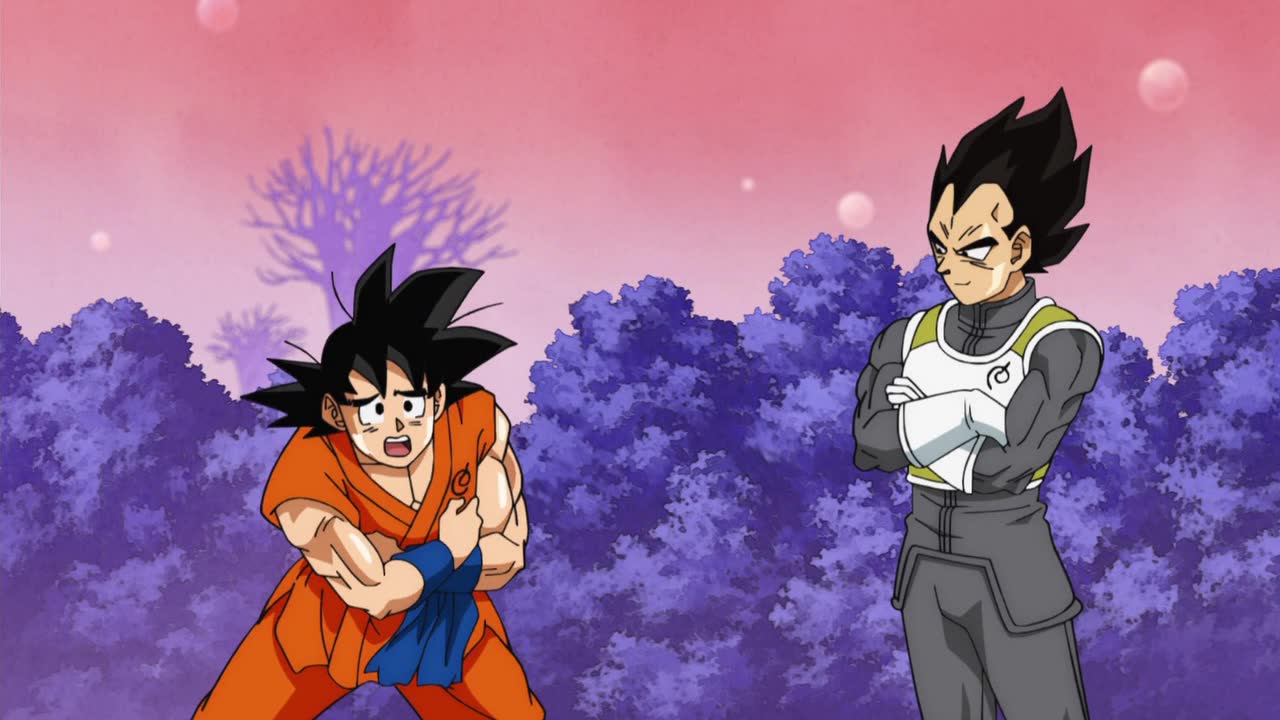 Dragon Ball Super Image | Fancaps