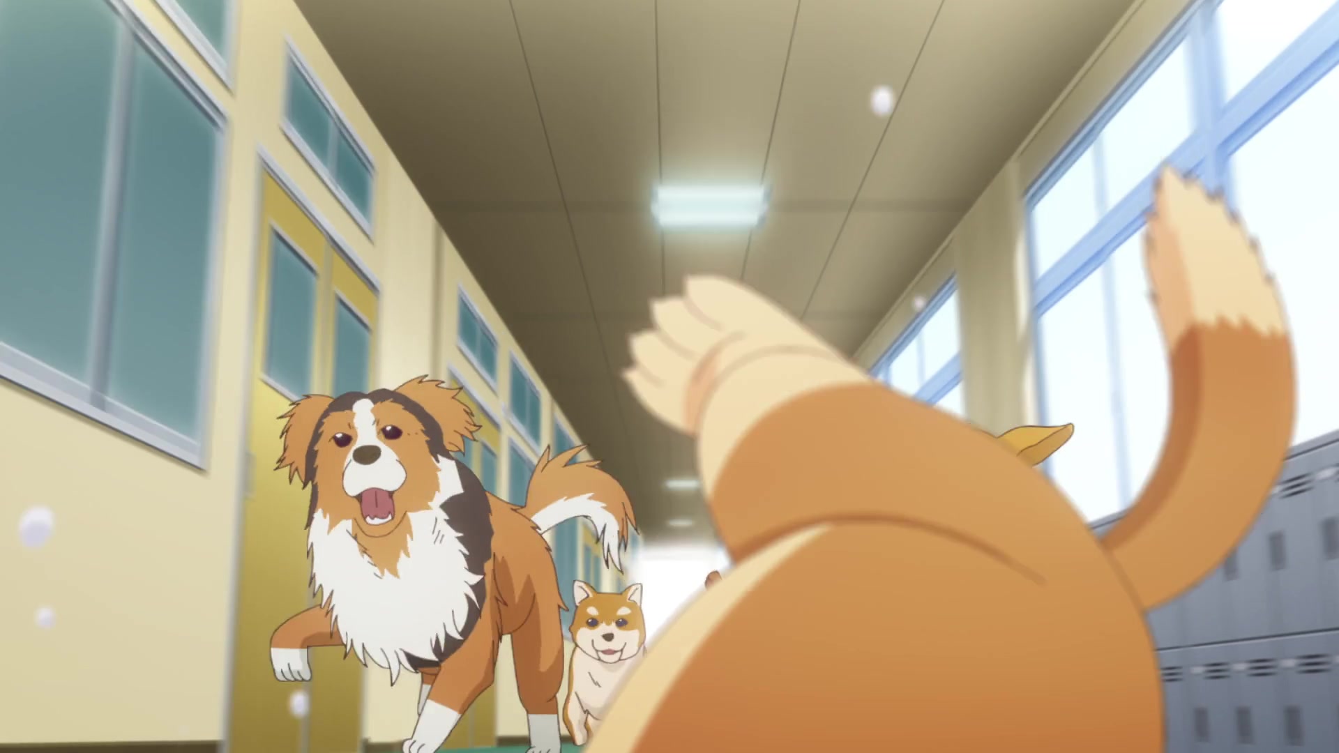 My Life as Inukai-san's Dog. Image | Fancaps