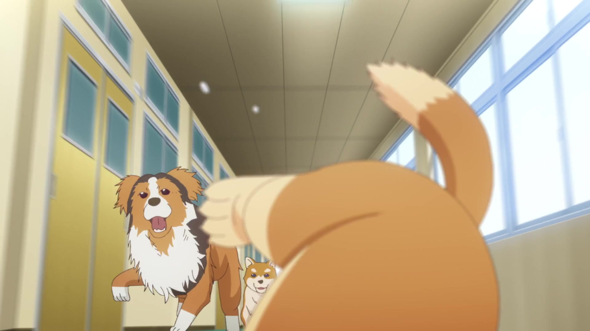 My Life as Inukai-san's Dog. Image | Fancaps