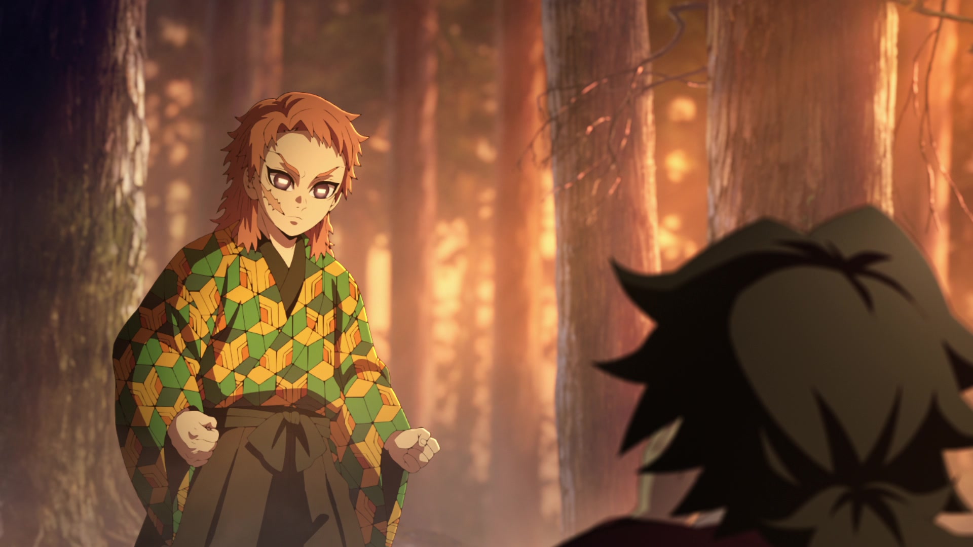 Demon Slayer: Kimetsu no Yaiba Hashira Training Arc Image | Fancaps