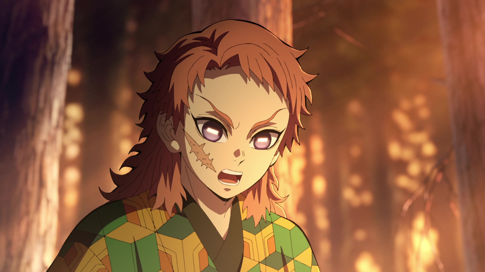 Demon Slayer: Kimetsu no Yaiba Hashira Training Arc Image | Fancaps