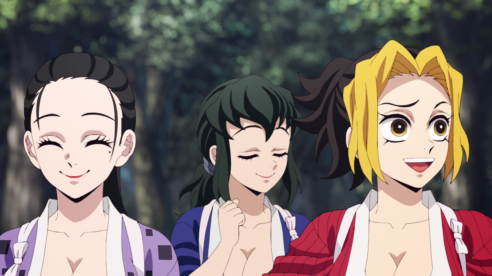 Demon Slayer: Kimetsu no Yaiba Hashira Training Arc Image | Fancaps