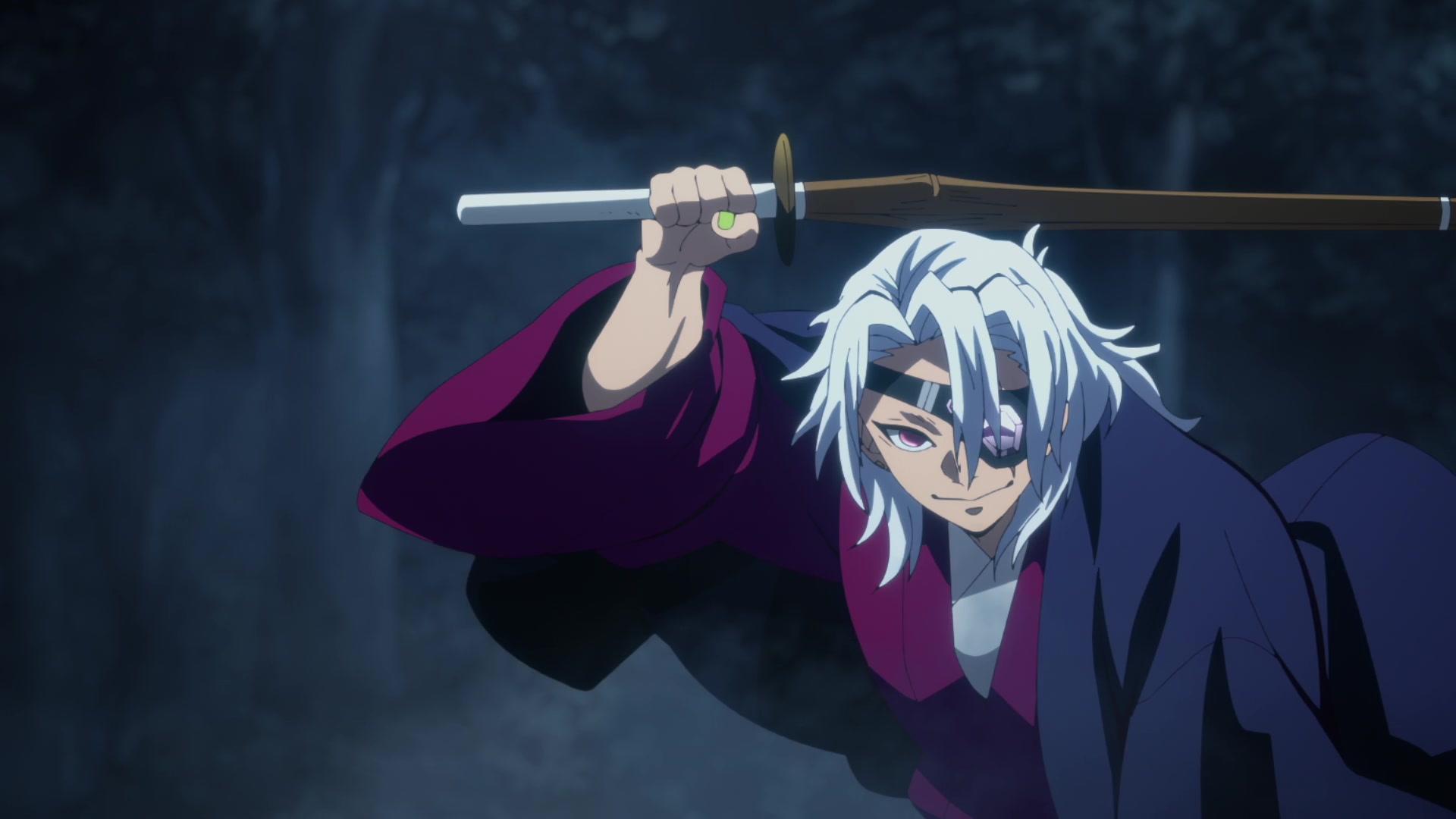 Demon Slayer: Kimetsu no Yaiba Hashira Training Arc Image | Fancaps