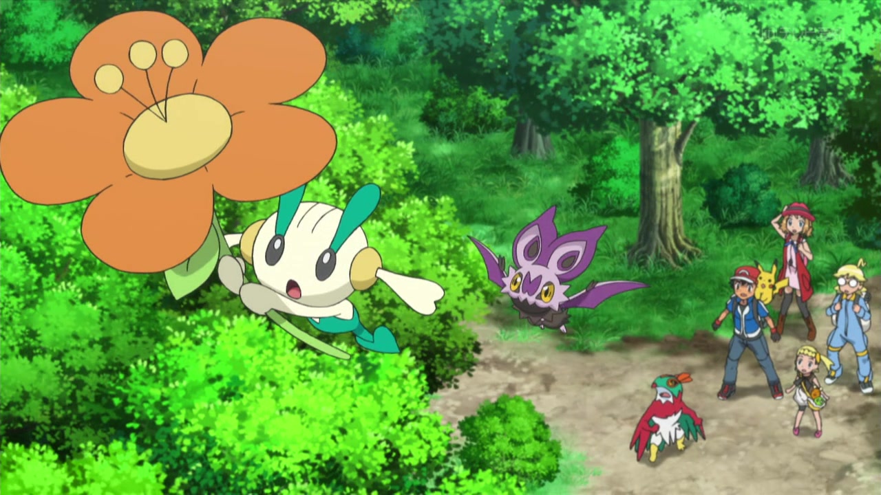 Pokemon Xy & Z Image 