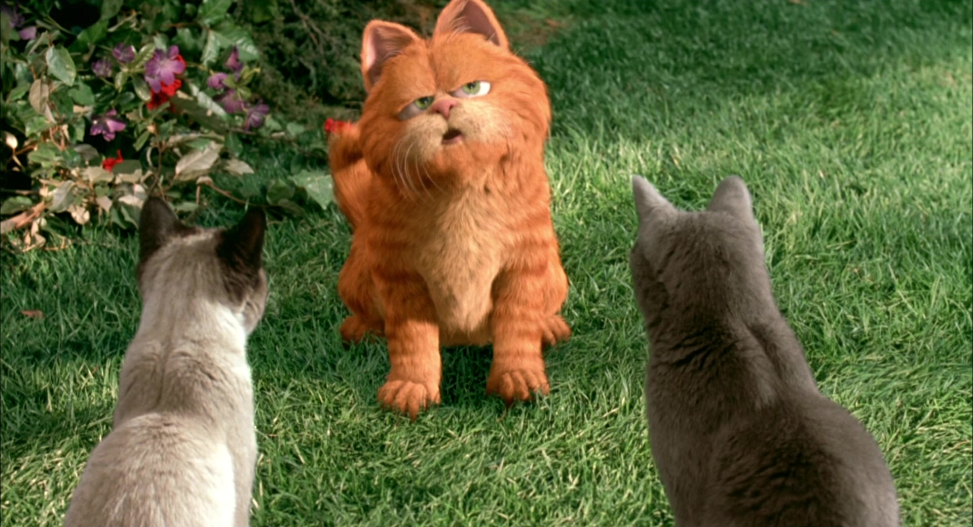 Garfield (2004) Screencap | Fancaps