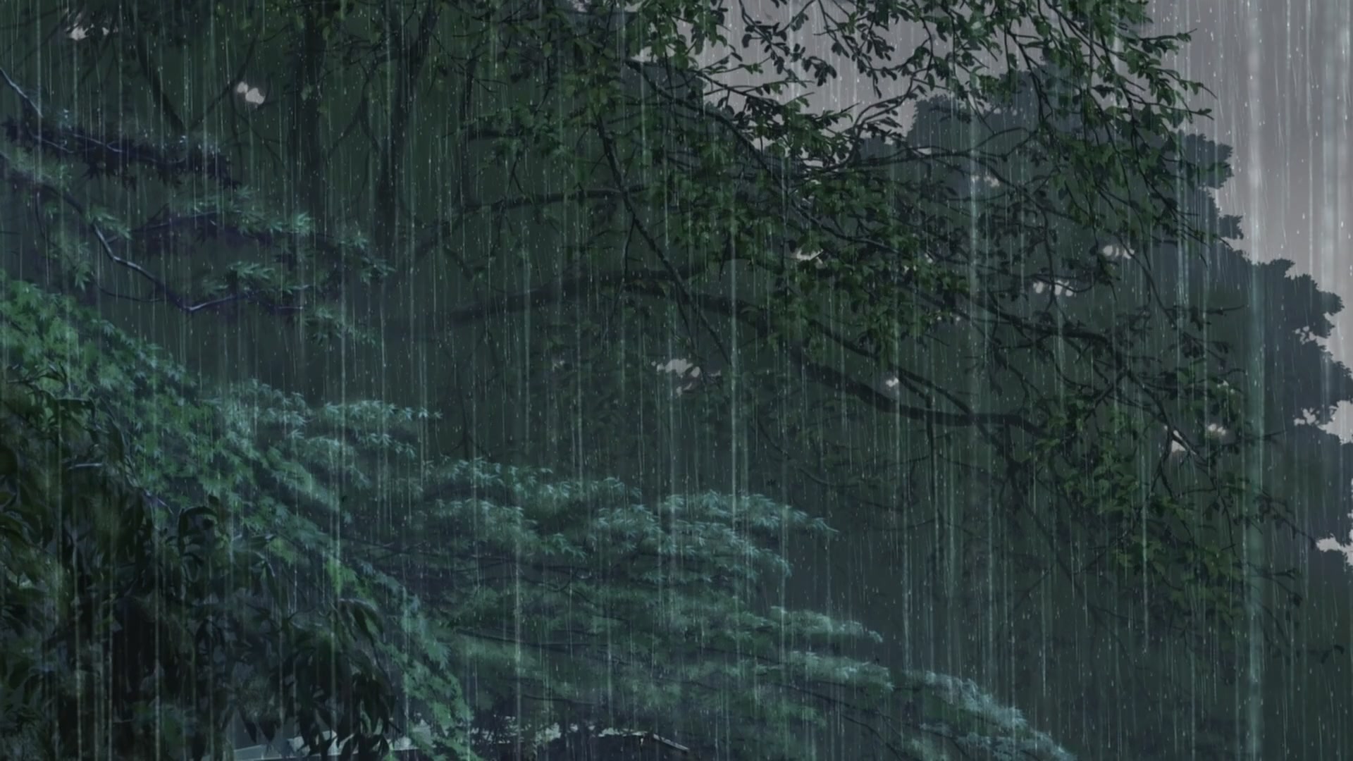 Сад изящных слов аниме дождь