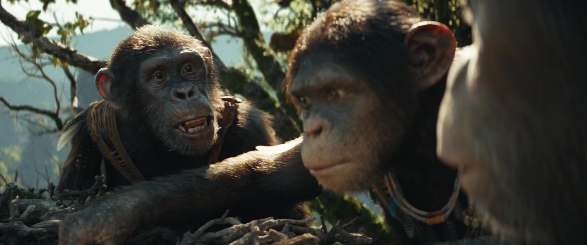 Kingdom of the Planet of the Apes (2024) Screencap | Fancaps