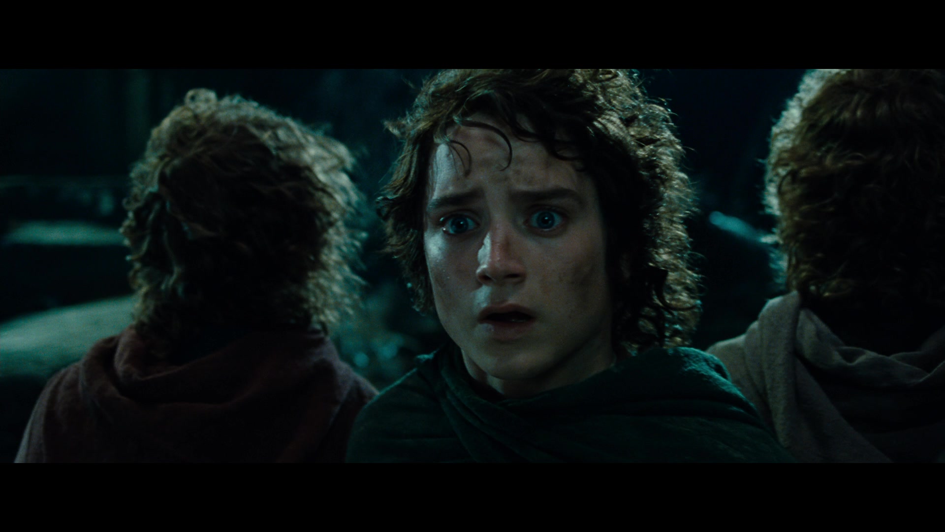 The Lord of the Rings: The Fellowship of the Ring Screencap | Fancaps