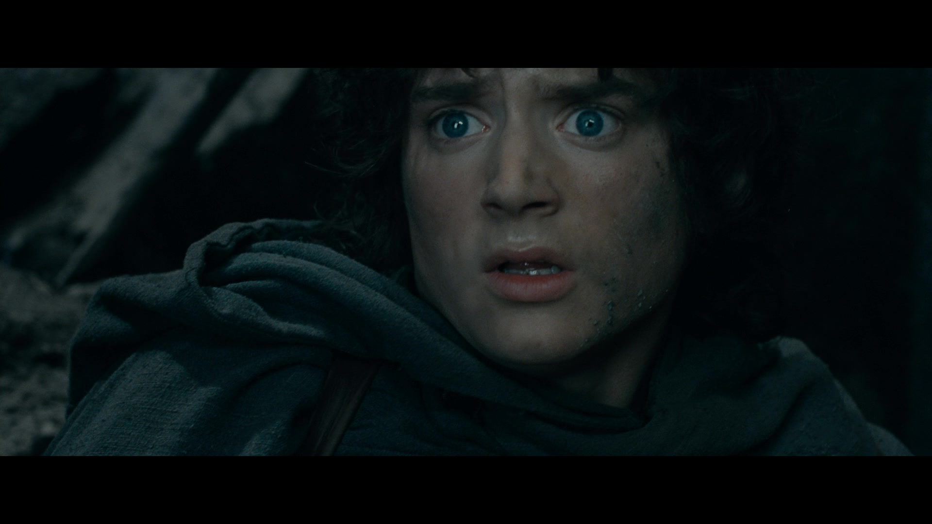 The Lord of the Rings: The Fellowship of the Ring Screencap | Fancaps