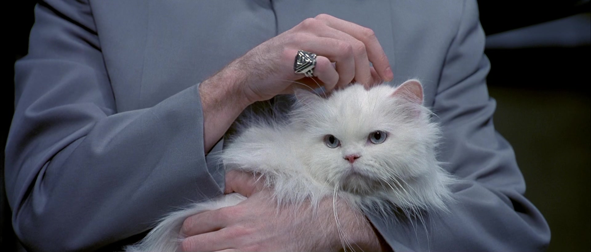 Dr evil cat gif