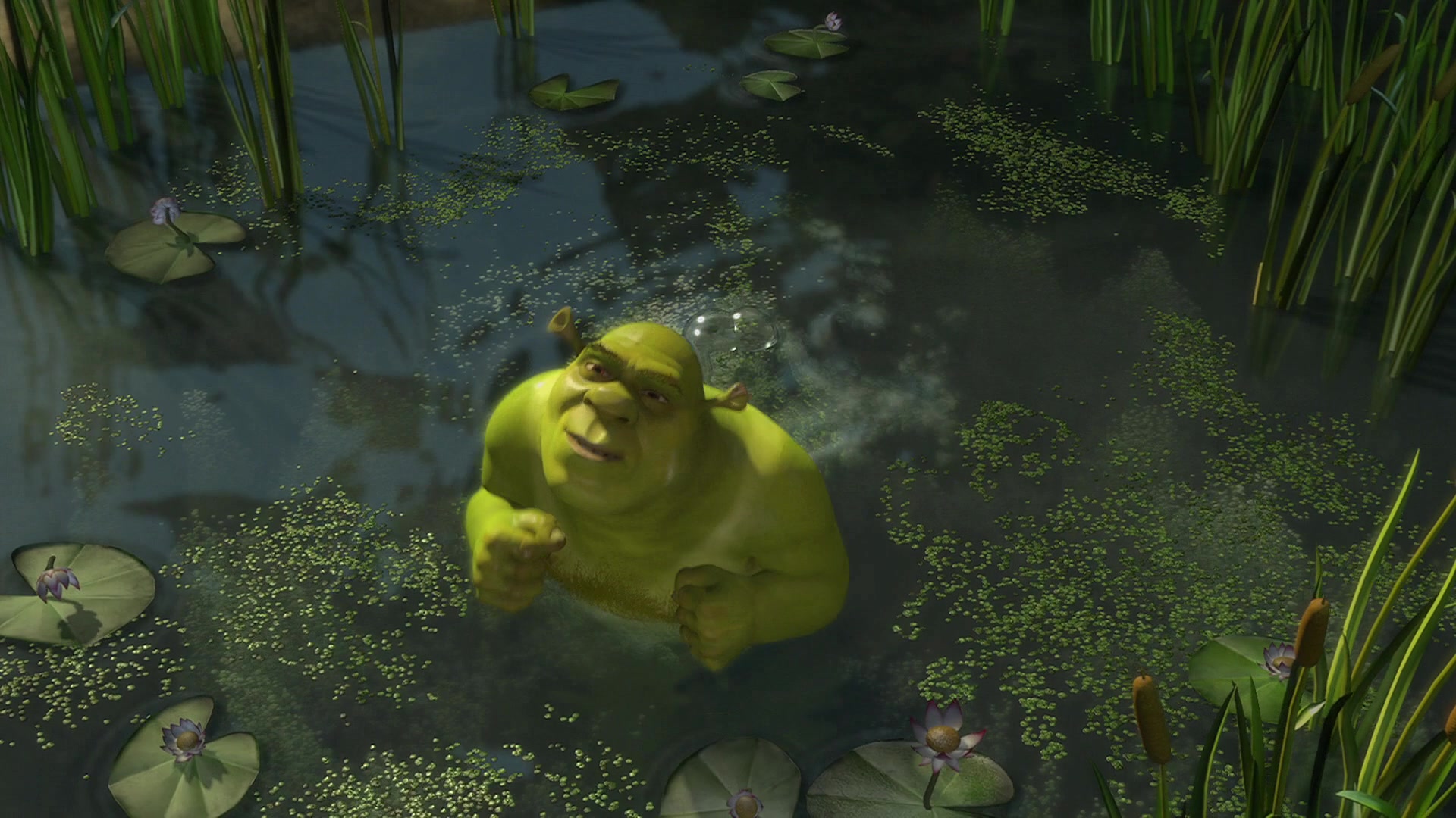 Shrek Screencap | Fancaps