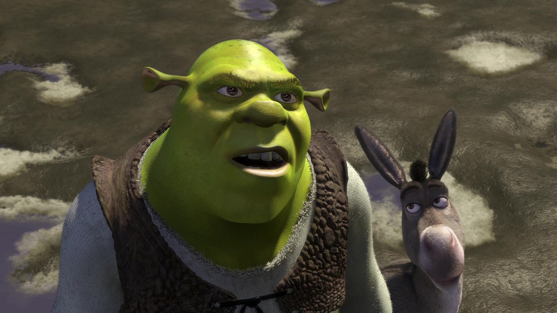 Shrek Screencap | Fancaps