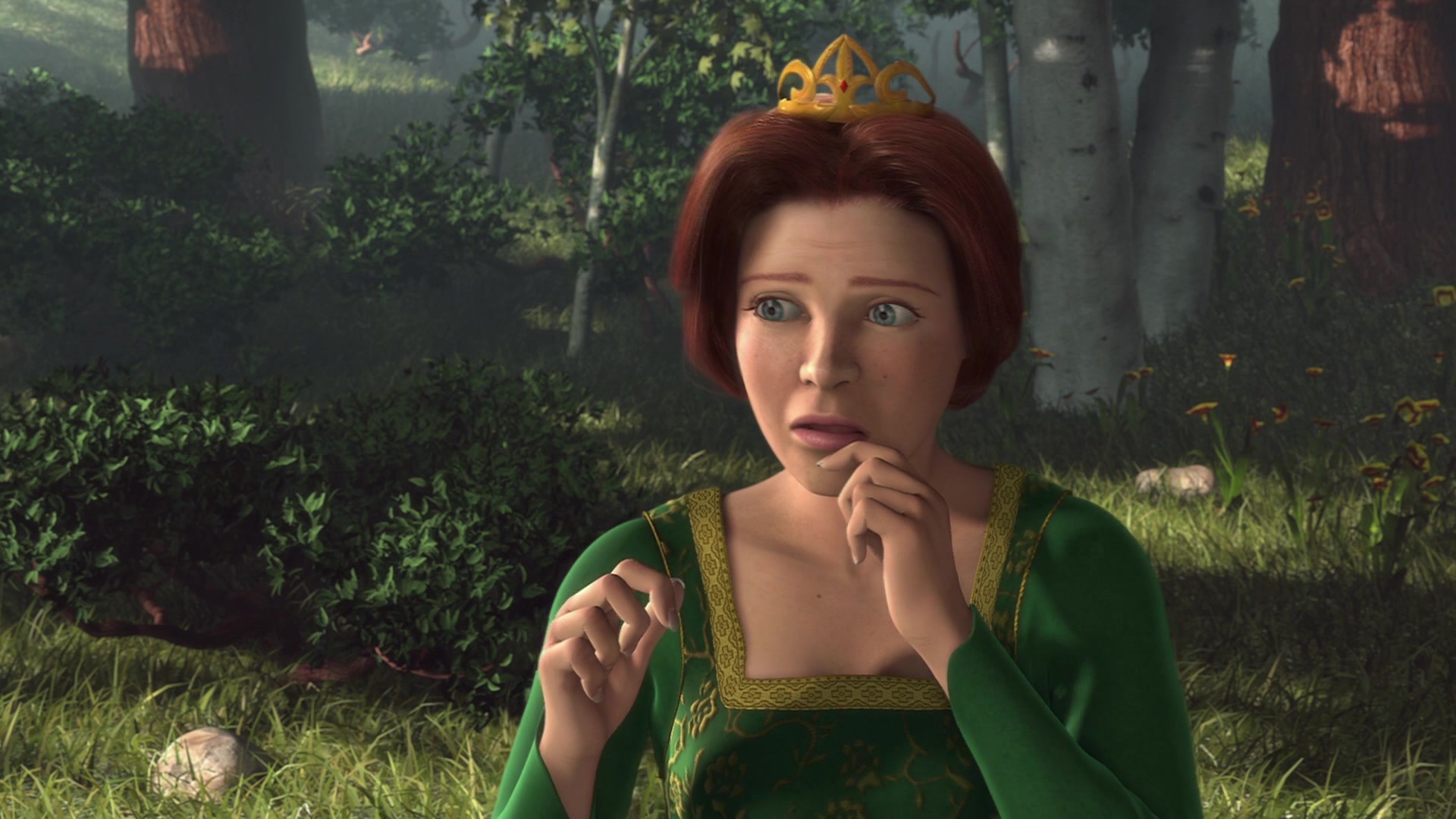 Shrek Screencap | Fancaps