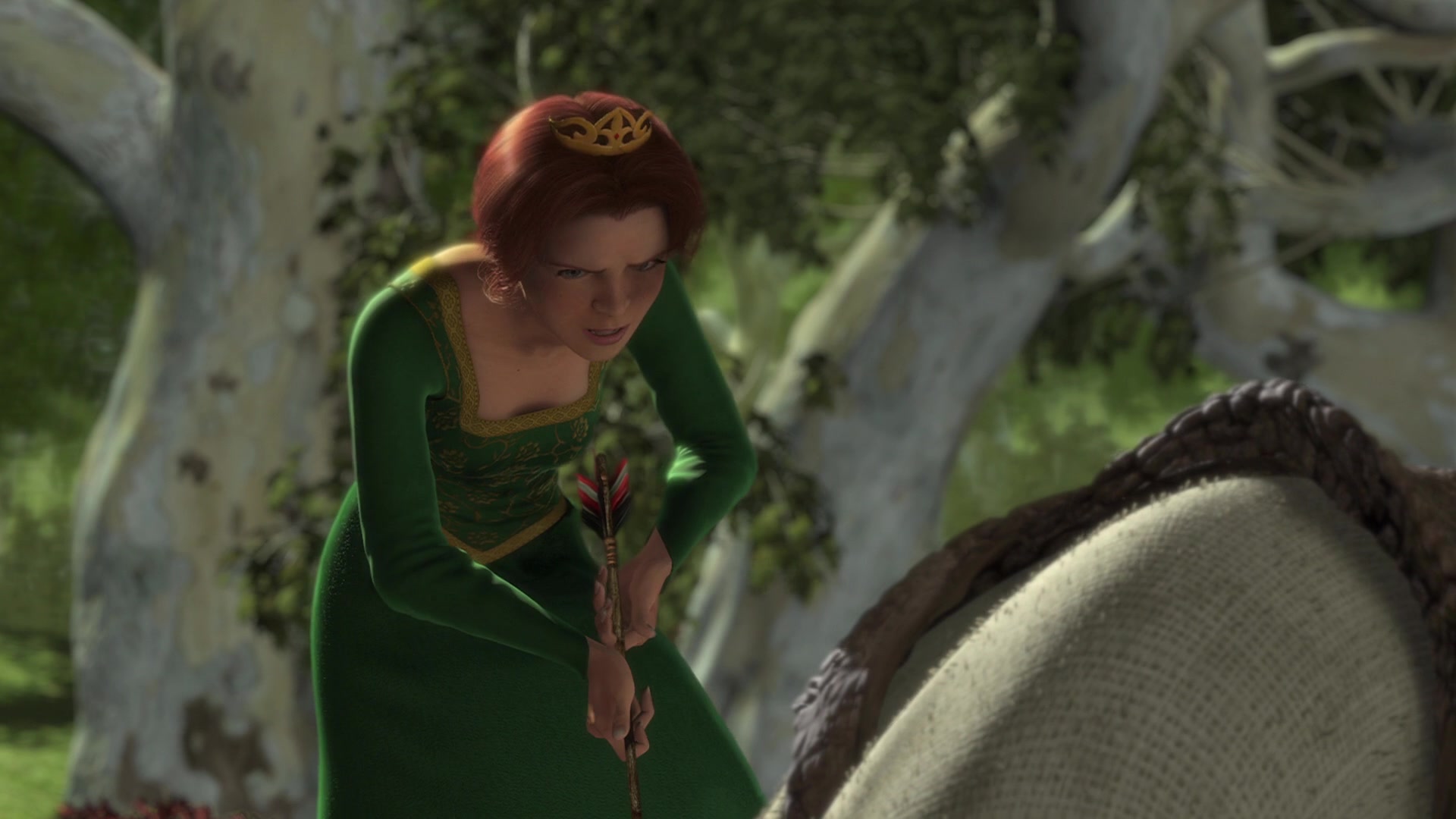 Shrek Screencap | Fancaps