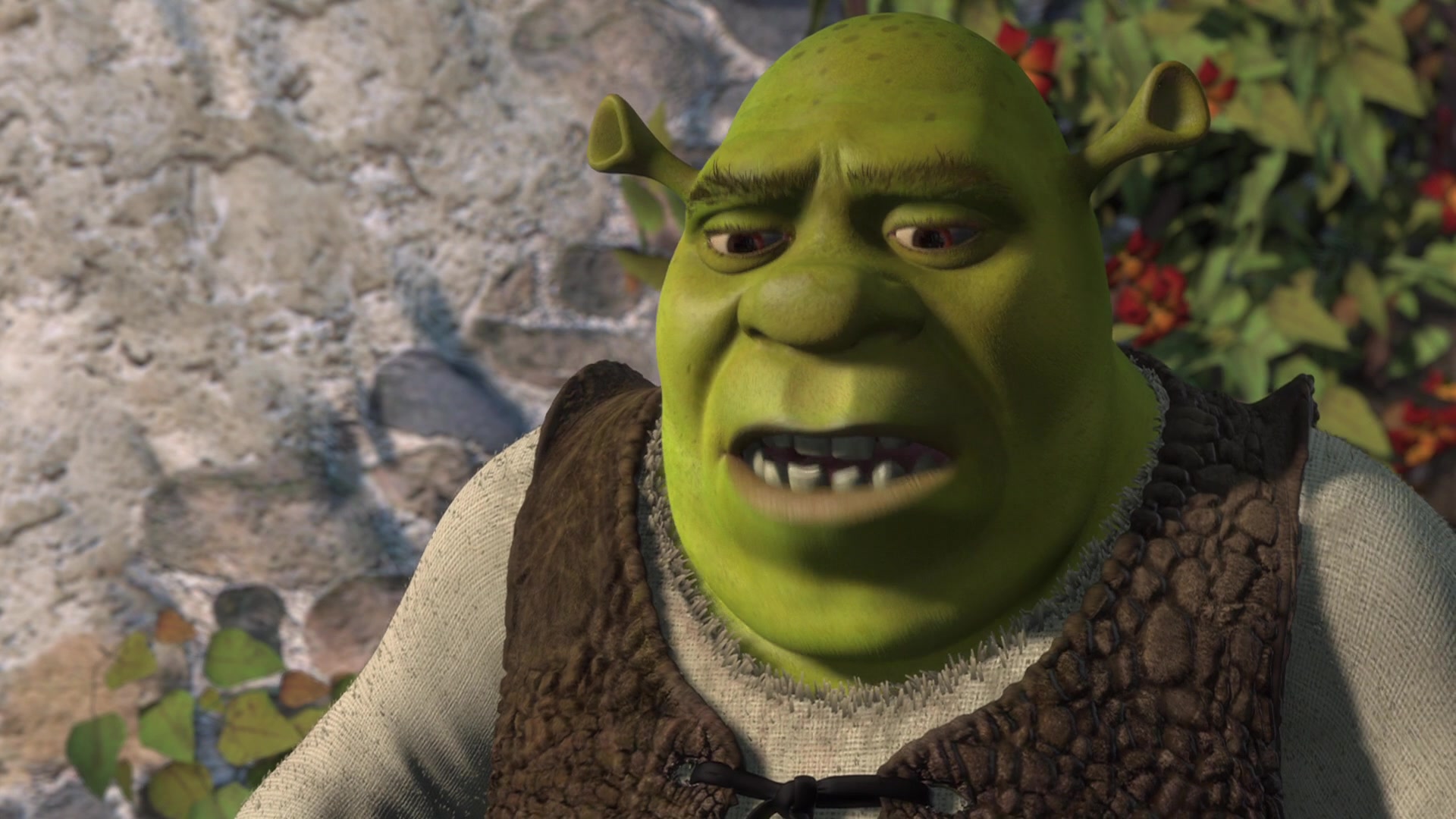 Shrek Screencap | Fancaps