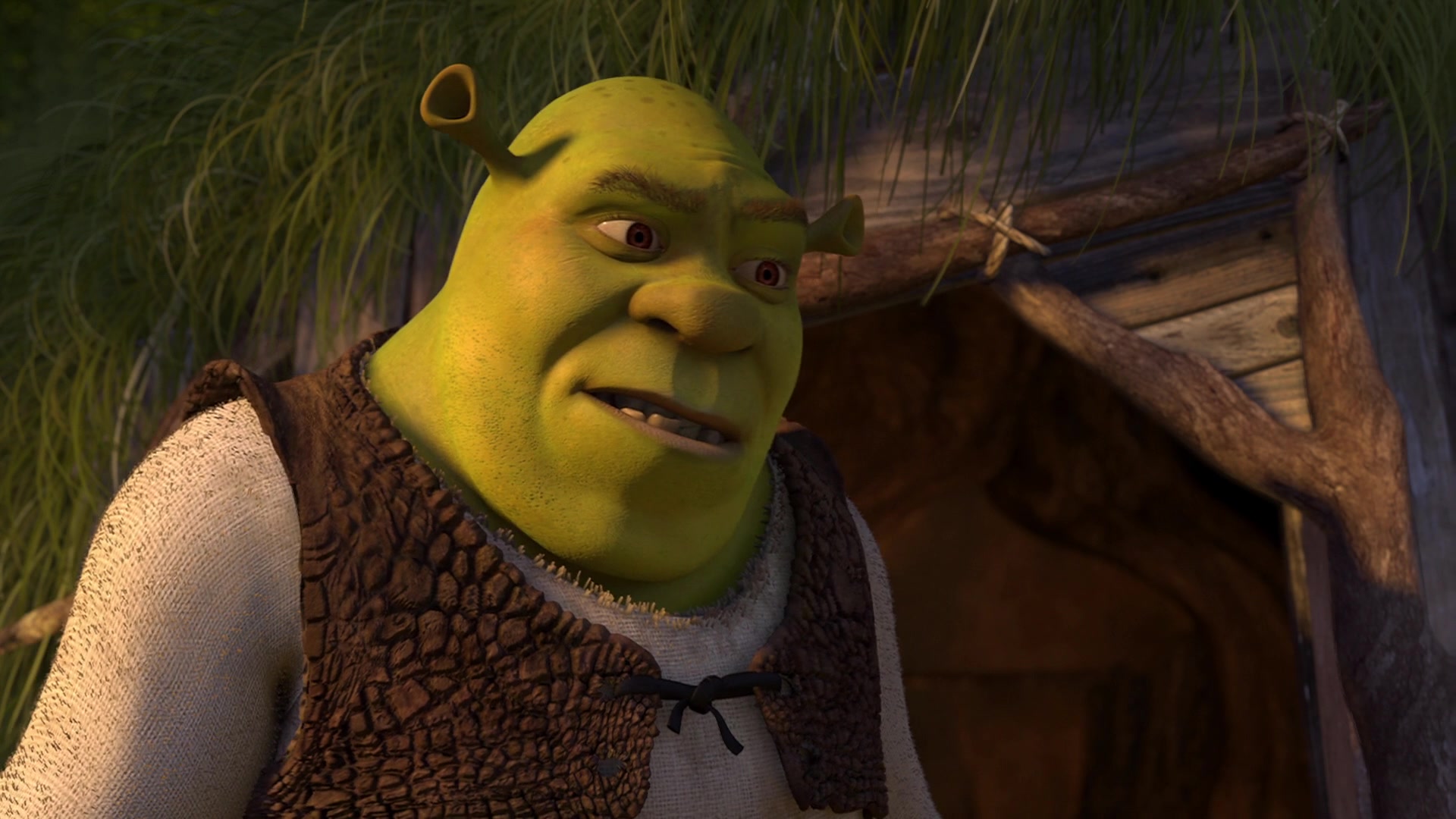 Shrek 2 Screencap | Fancaps