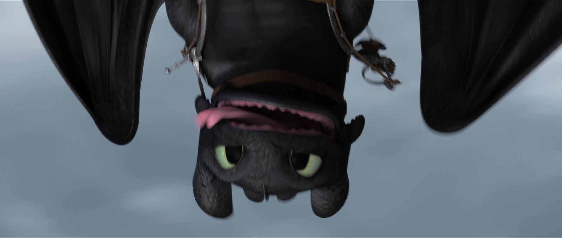 Kill Toothless Terry