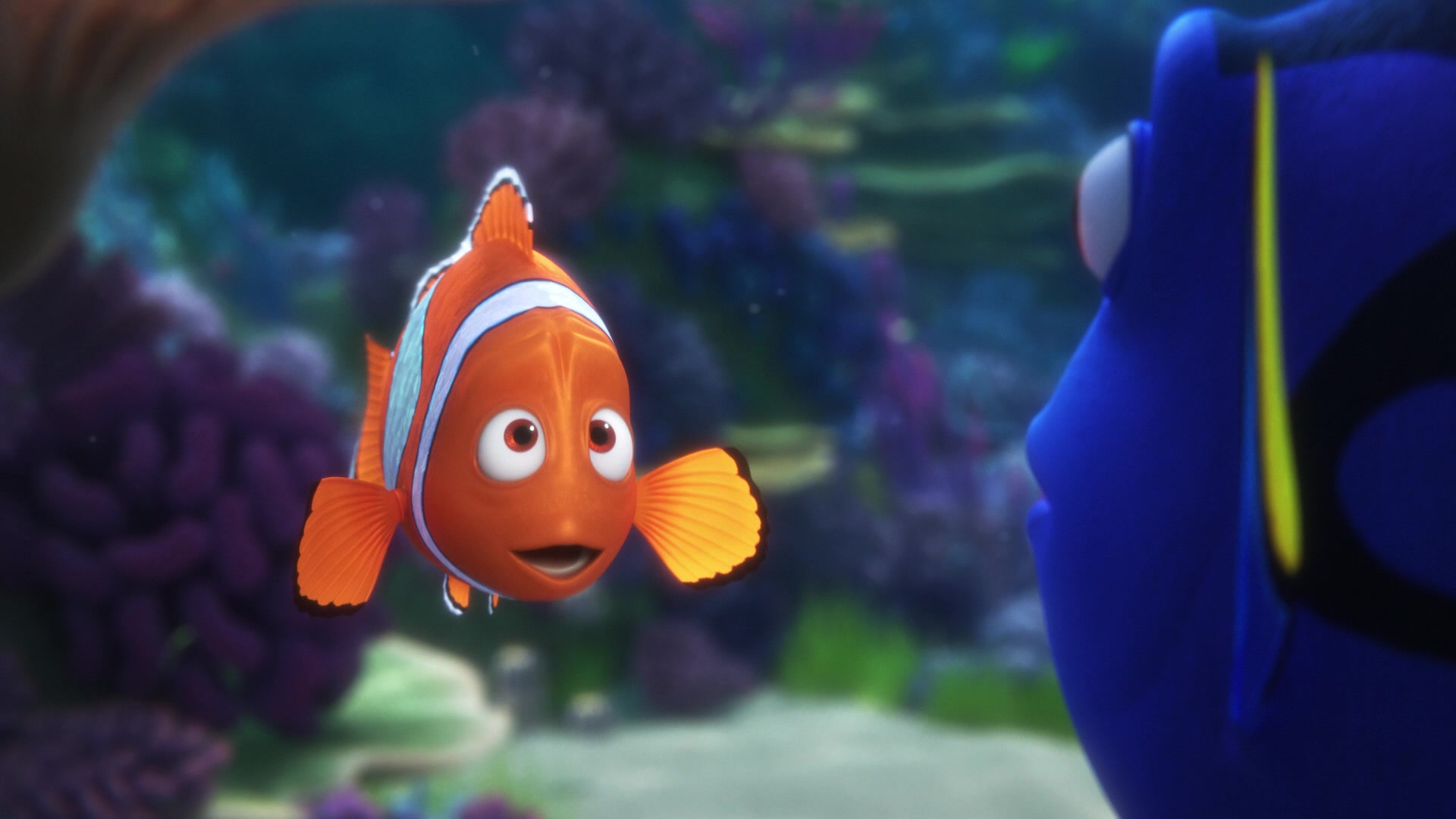 Finding Dory Screencap | Fancaps