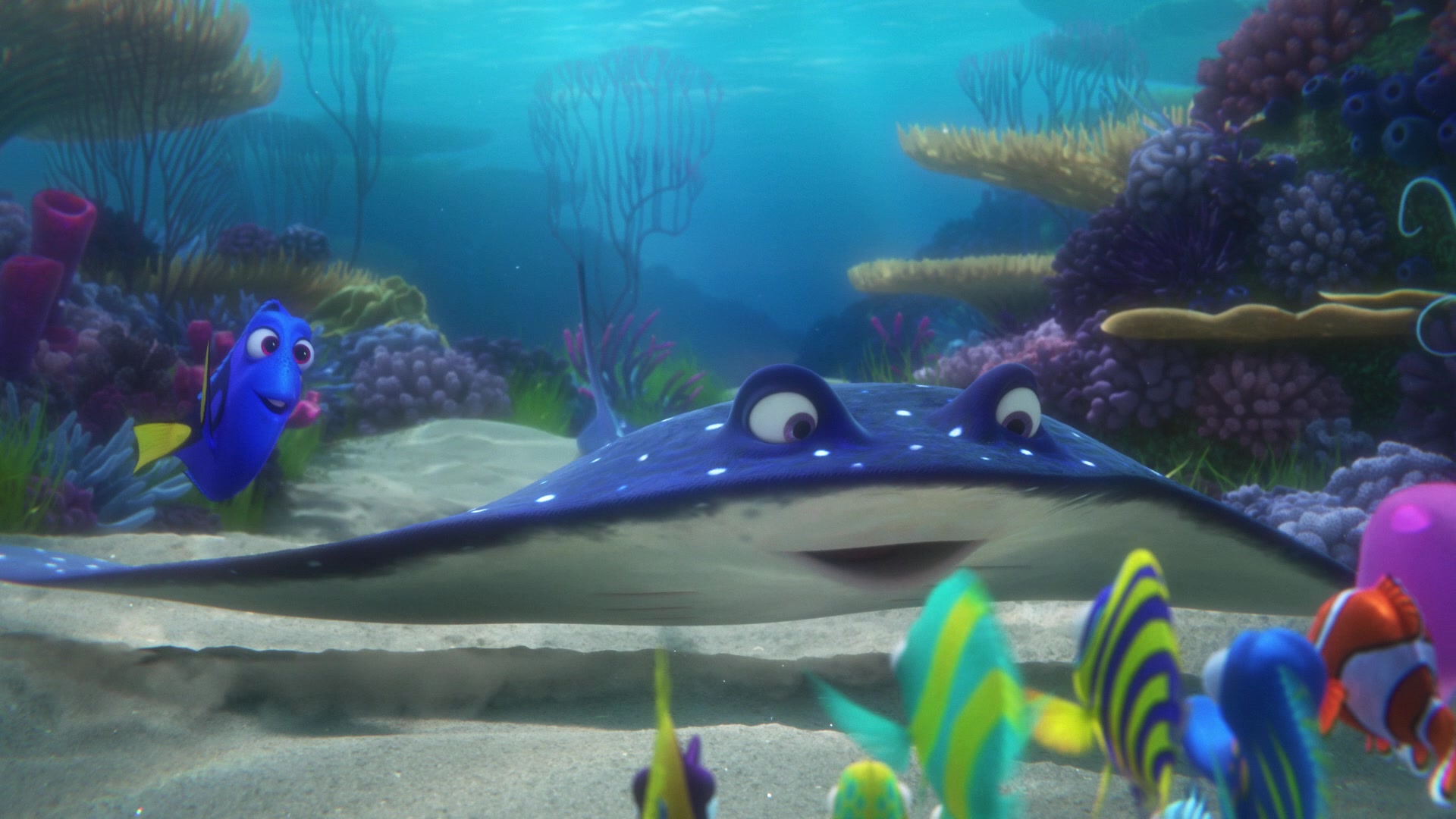 Finding Dory Screencap | Fancaps