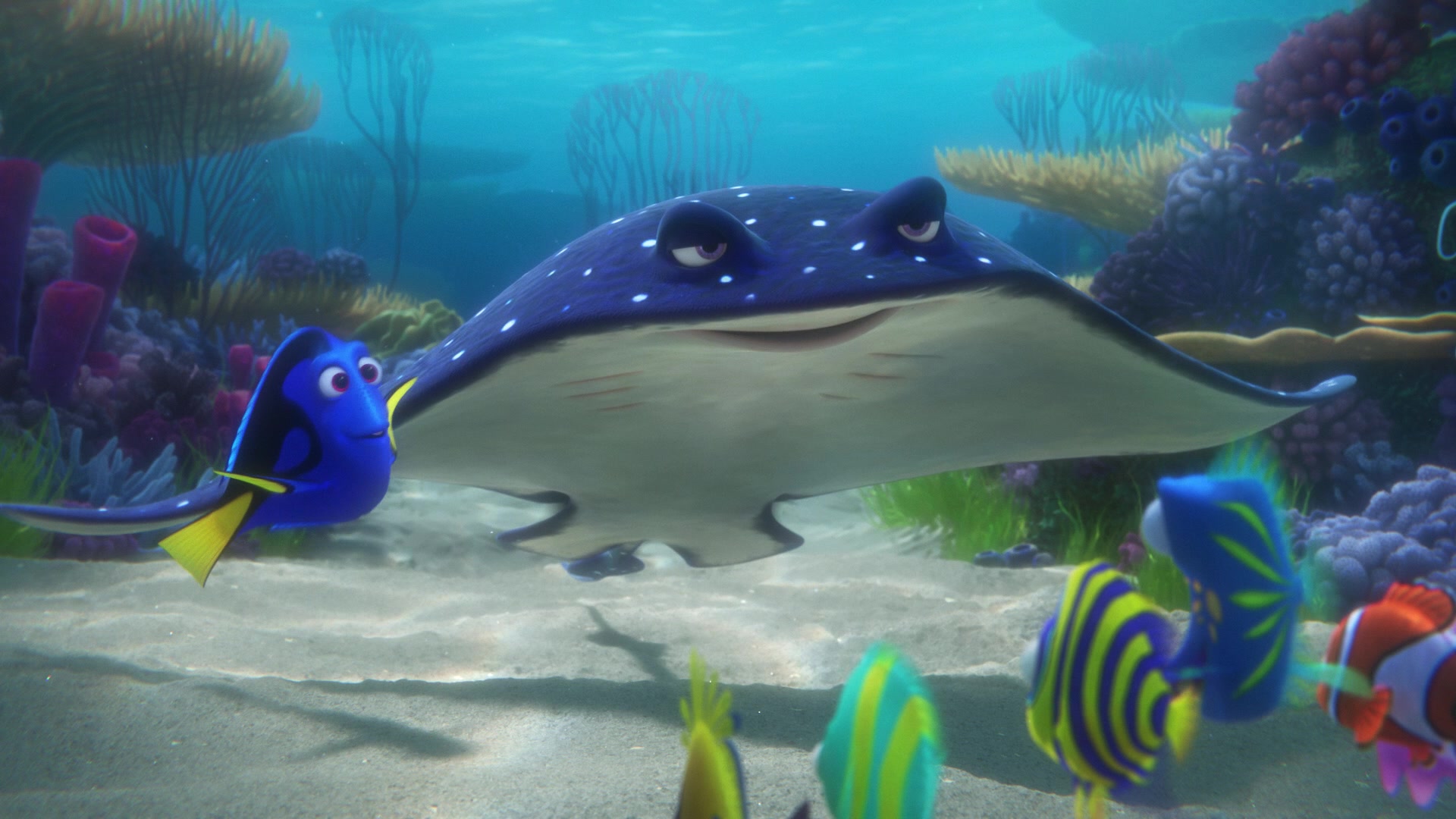 Finding Dory Screencap | Fancaps