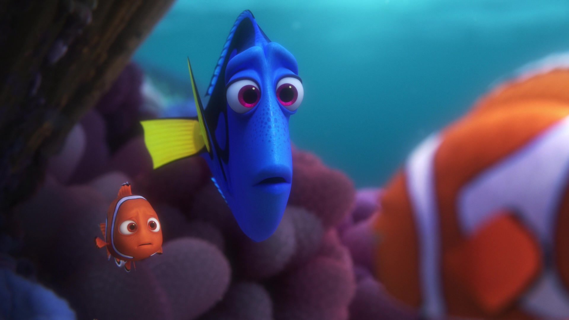 Finding Dory Screencap | Fancaps