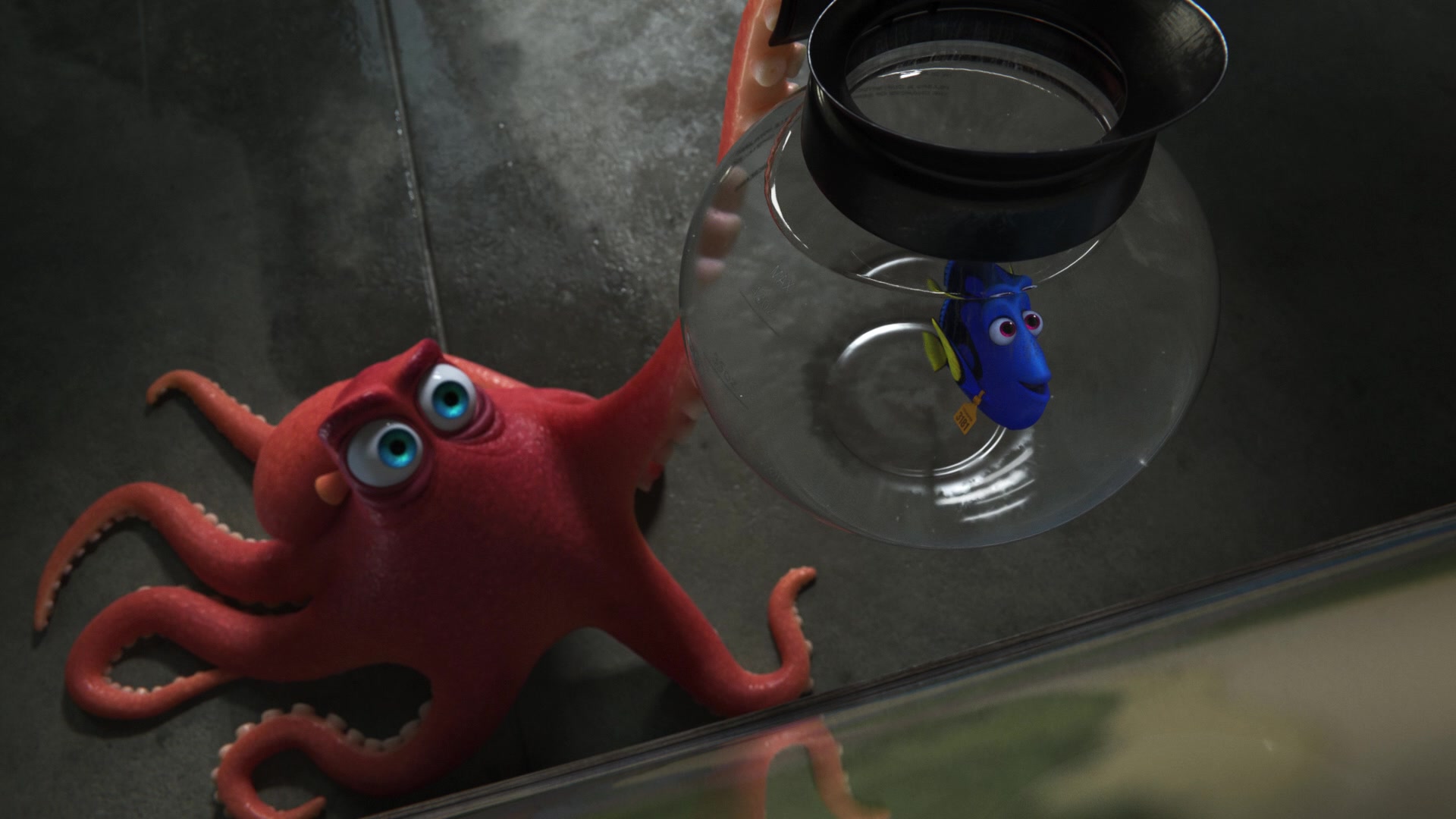 Finding Dory Screencap | Fancaps