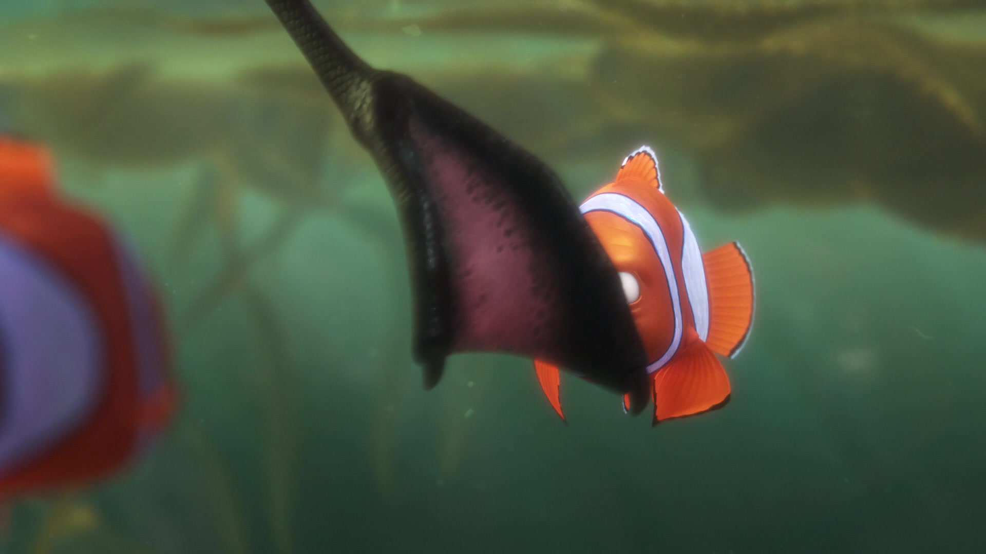 Finding Dory Screencap | Fancaps