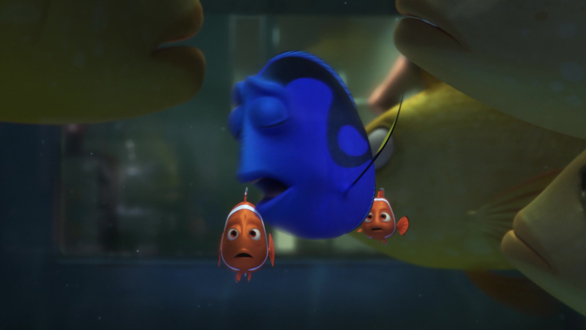 Finding Dory Screencap | Fancaps