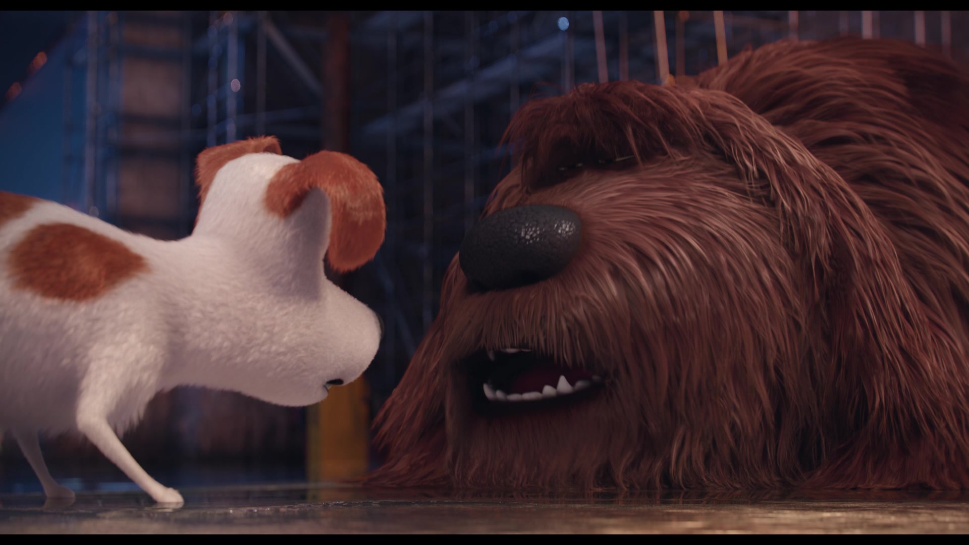 The Secret Life of Pets Screencap | Fancaps