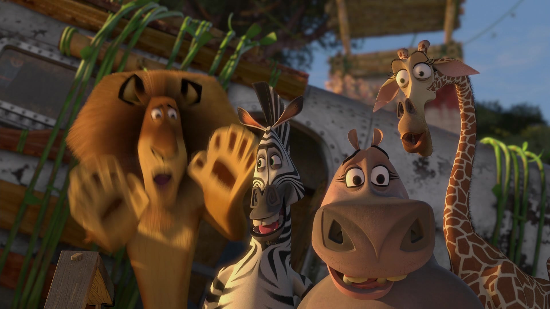 Madagascar: Escape 2 Africa Screencap | Fancaps