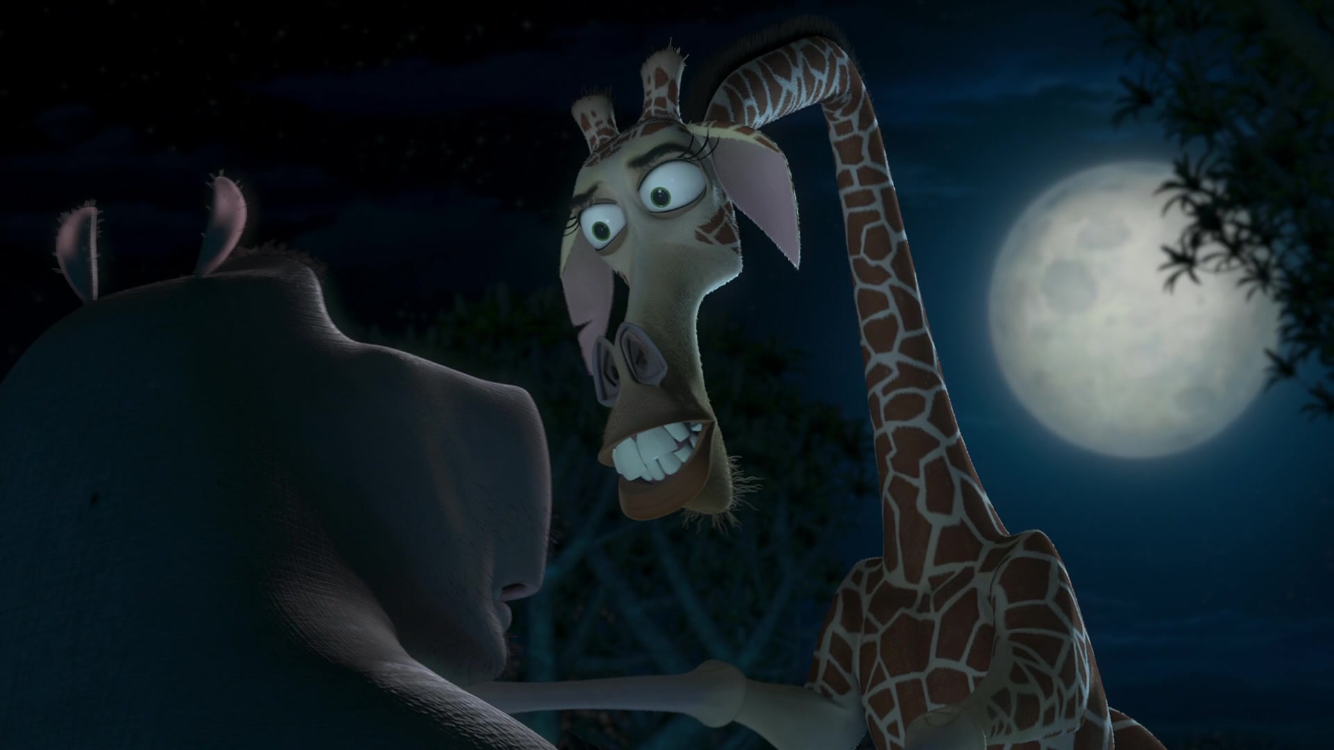 Madagascar: Escape 2 Africa Screencap | Fancaps