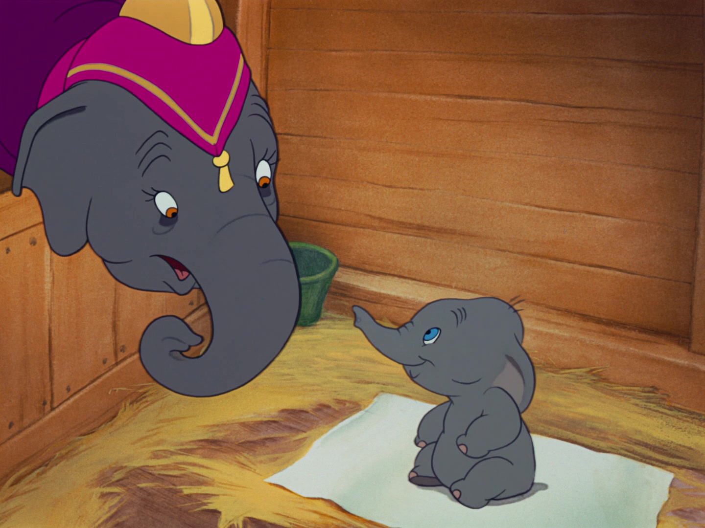 Мама про слоненка. Слоненок Дамбо. Дамбо миссис джамбо.