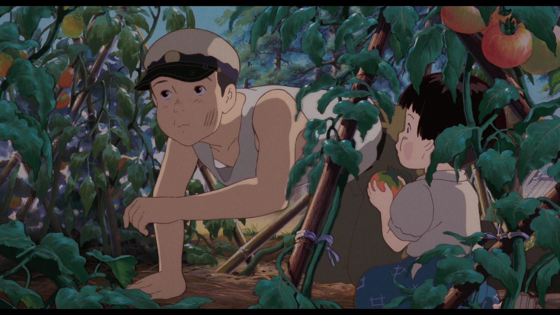 Grave of the Fireflies Screencap | Fancaps