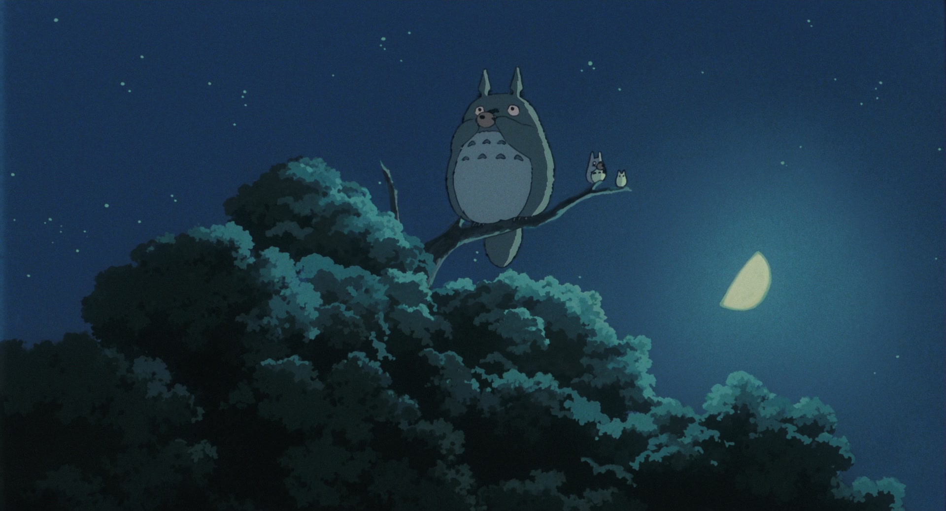 My Neighbor Totoro Screencap | Fancaps