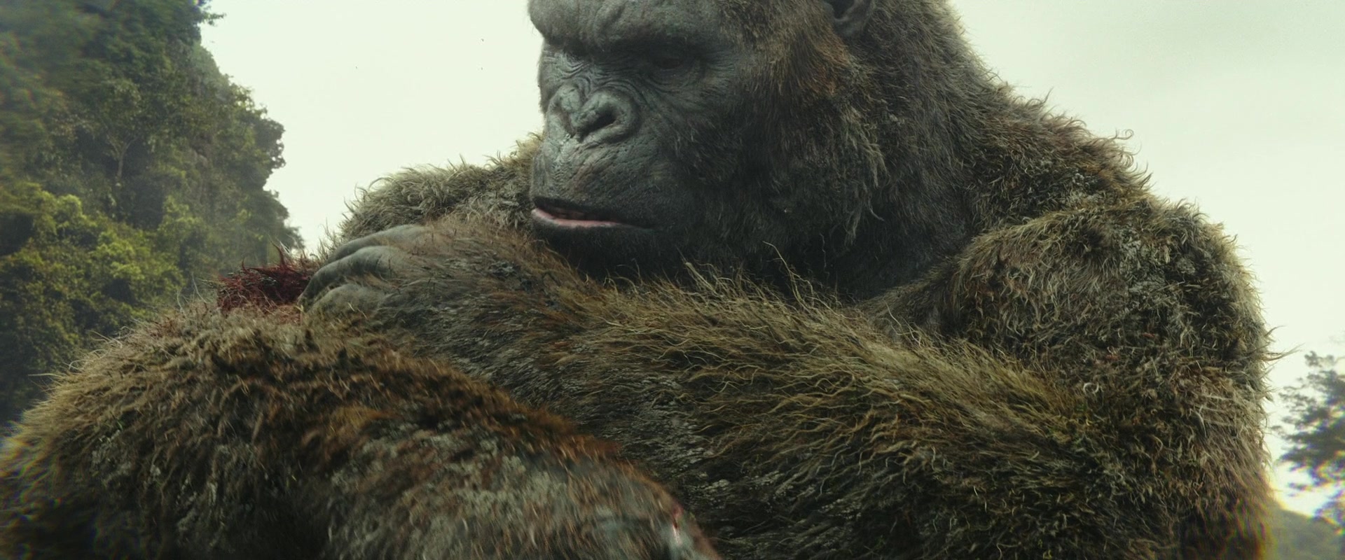 Kong: Skull Island (2017) Screencap | Fancaps