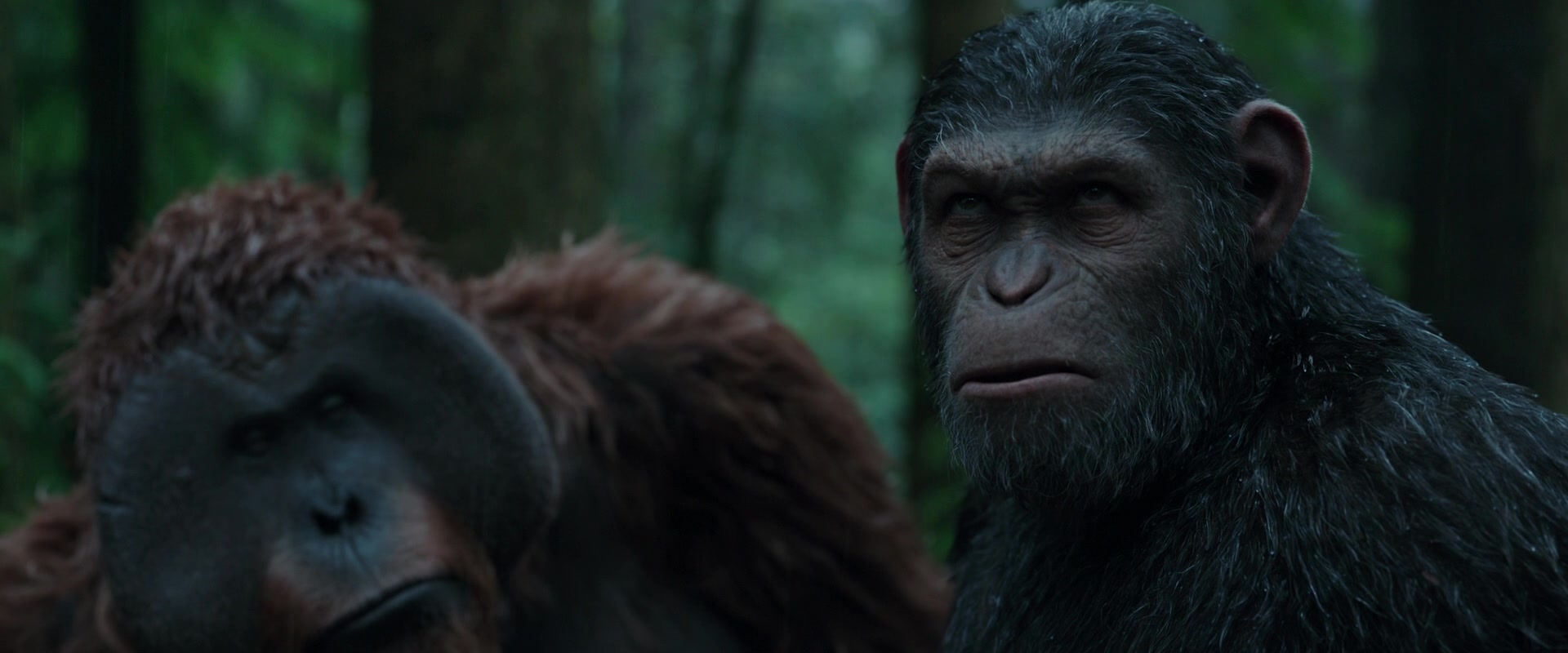 War for the Planet of the Apes (2017) Screencap | Fancaps