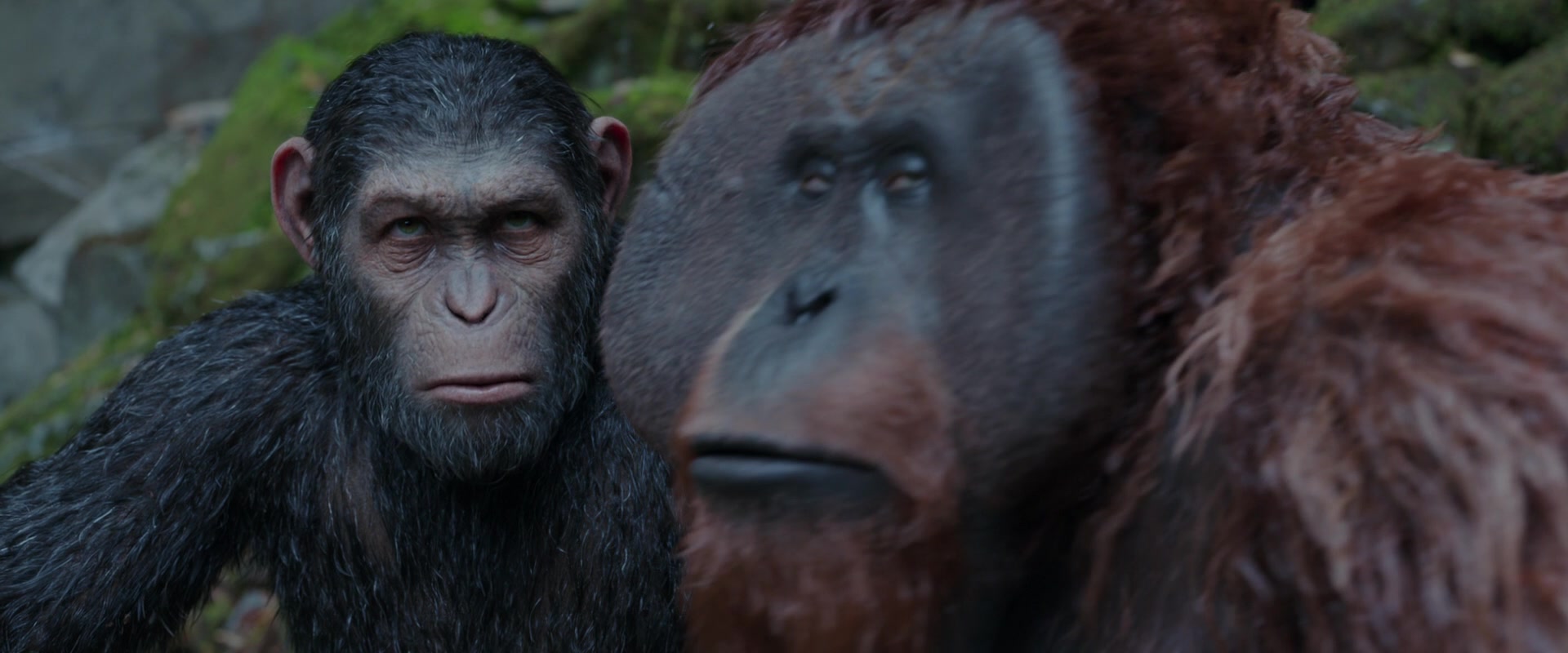 War for the Planet of the Apes (2017) Screencap | Fancaps