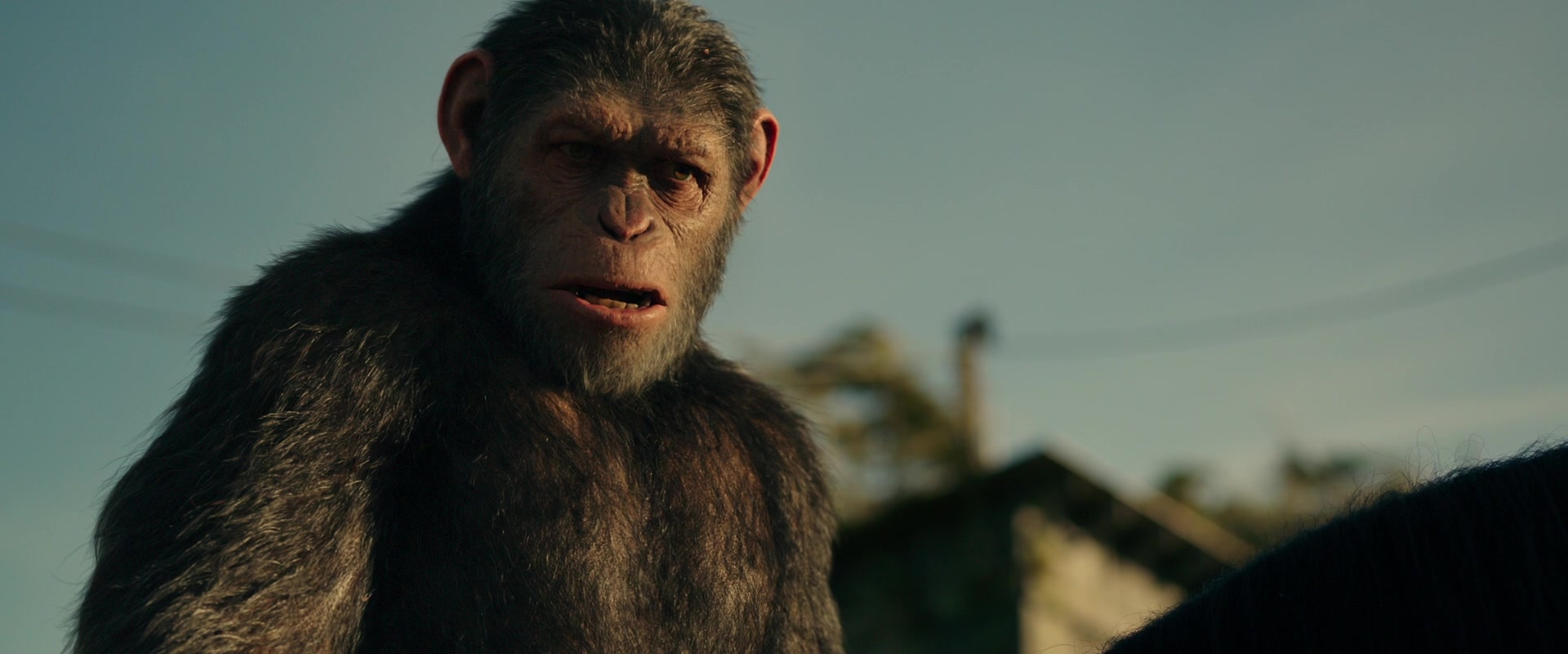 War for the Planet of the Apes (2017) Screencap | Fancaps