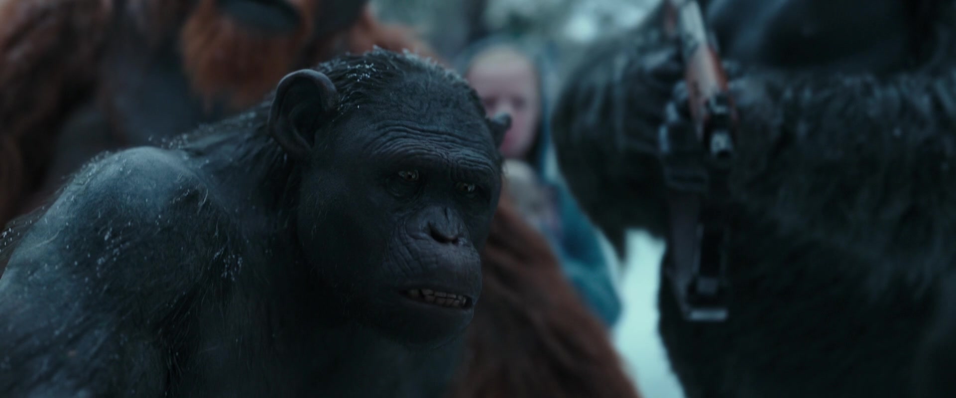 War for the Planet of the Apes (2017) Screencap | Fancaps