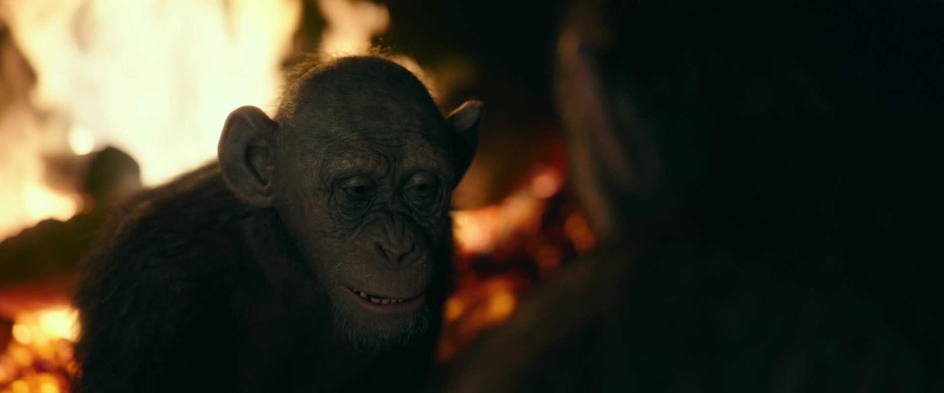 War for the Planet of the Apes (2017) Screencap | Fancaps