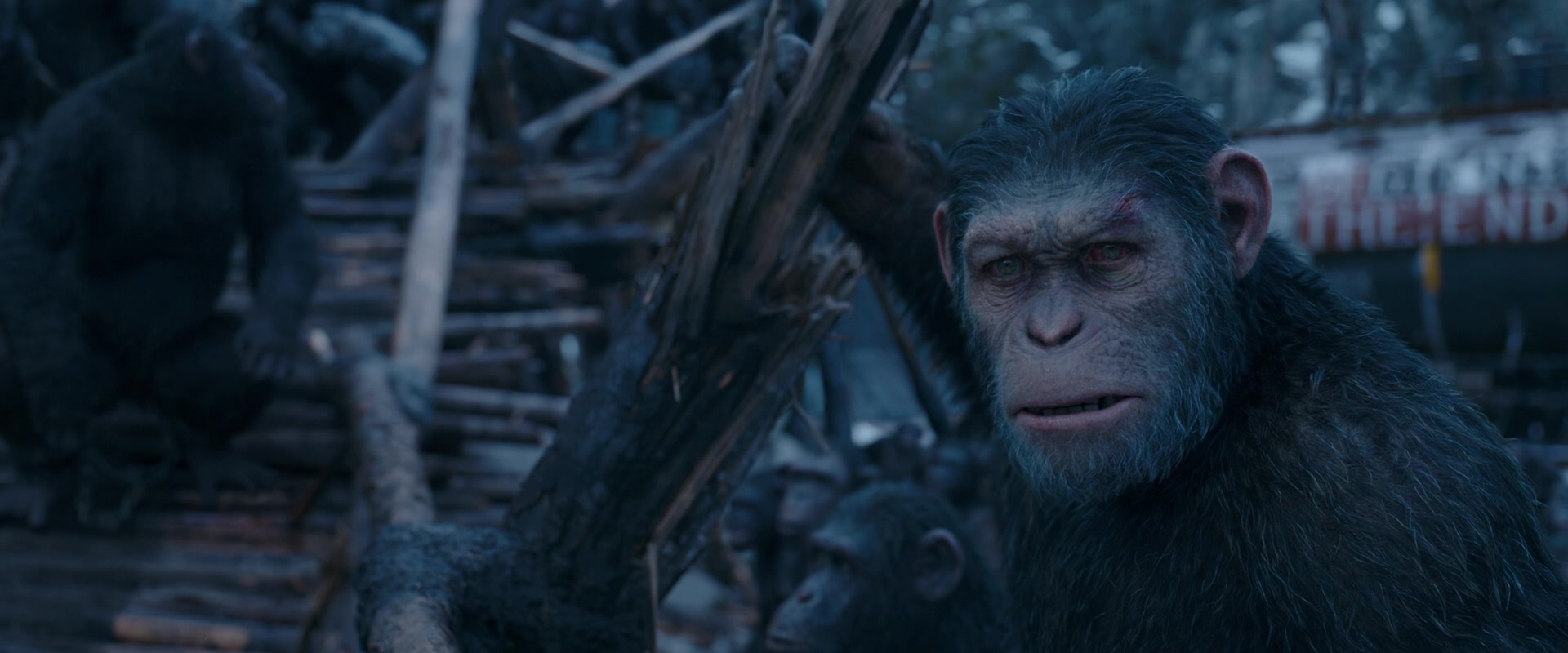 War for the Planet of the Apes (2017) Screencap | Fancaps