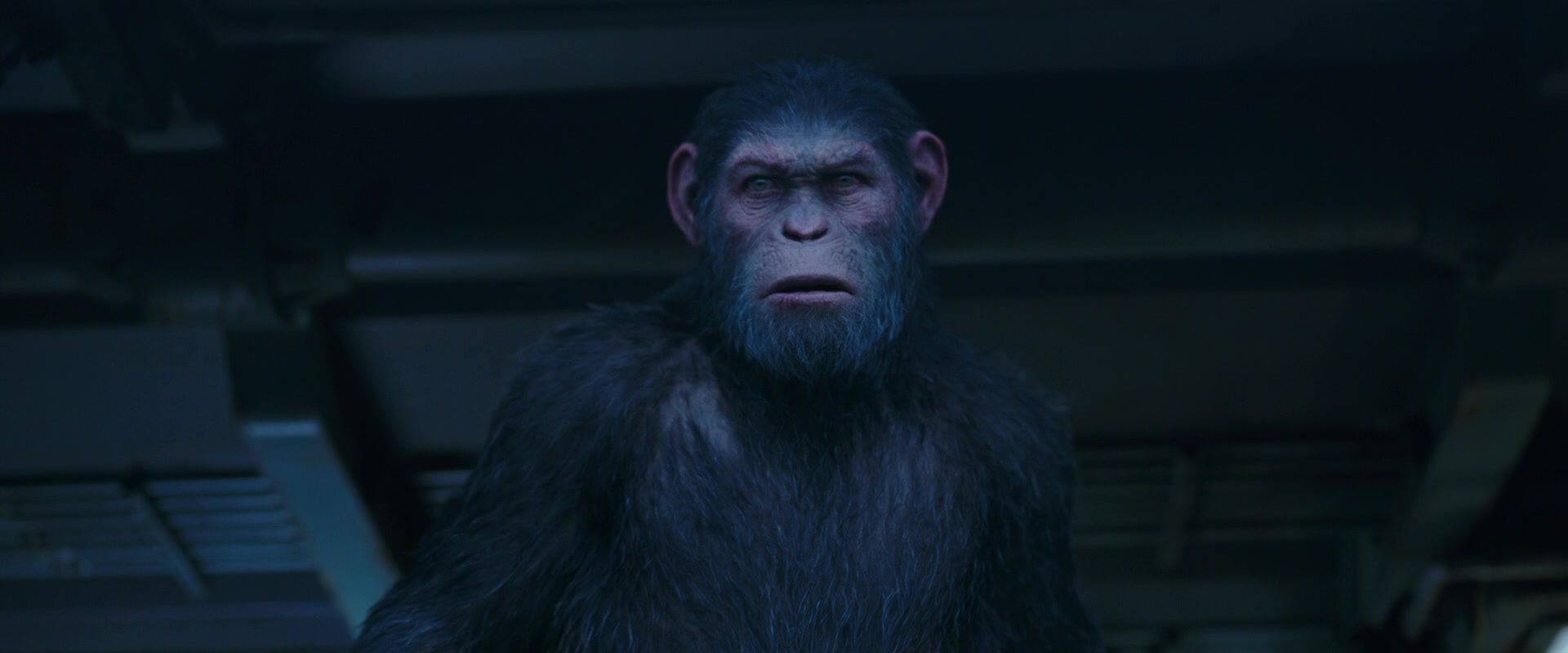 War for the Planet of the Apes (2017) Screencap | Fancaps