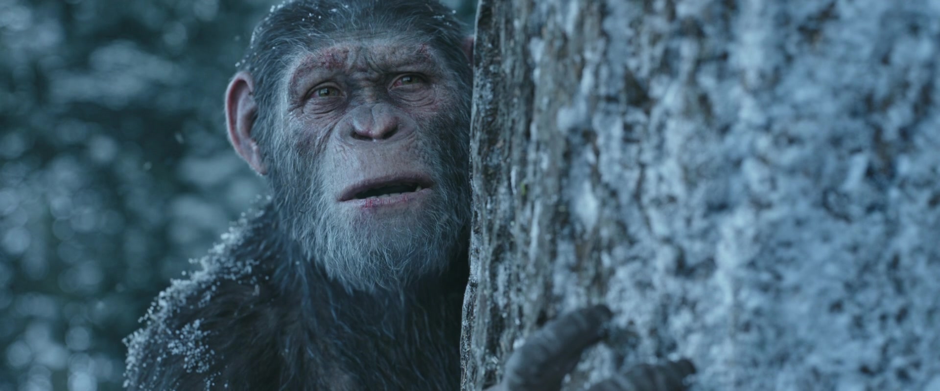 War for the Planet of the Apes (2017) Screencap | Fancaps