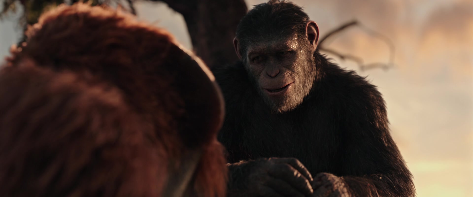 War for the Planet of the Apes (2017) Screencap | Fancaps