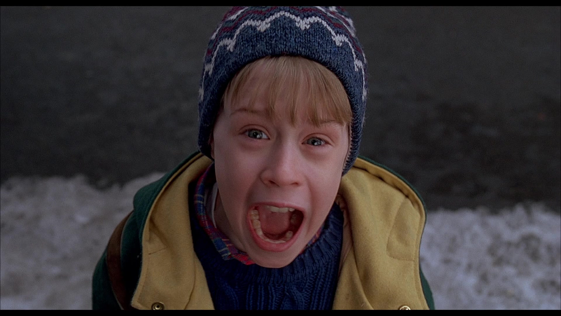 Home Alone 2: Lost in New York Screencap | Fancaps