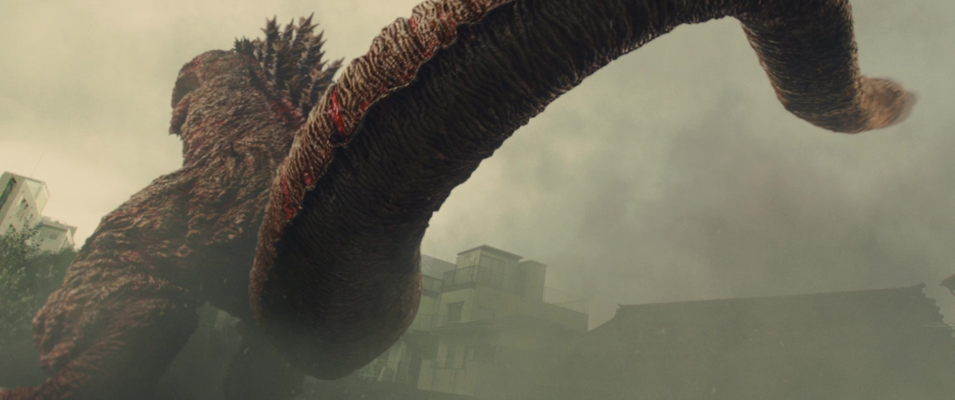 Shin Godzilla Godzilla Resurgence Screencap Fancaps