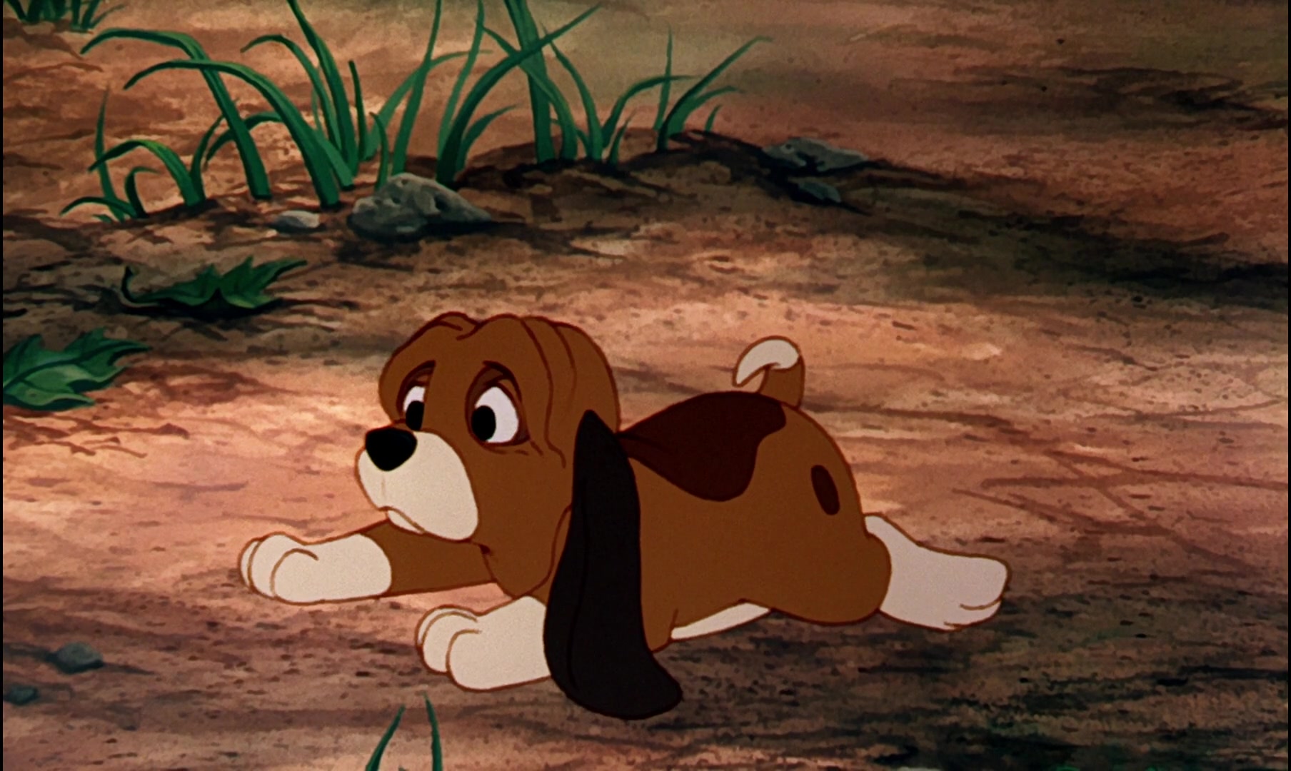 The Fox And The Hound Screencap 