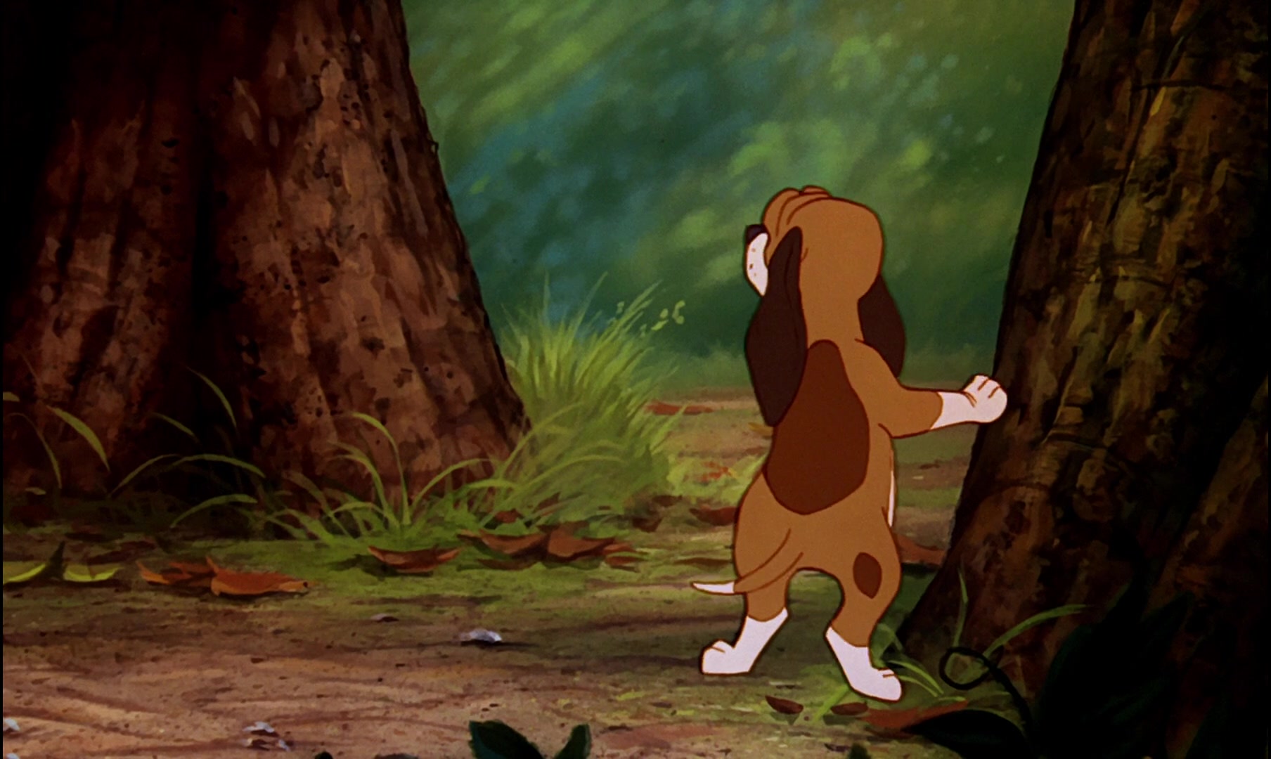 The Fox and the Hound Screencap | Fancaps